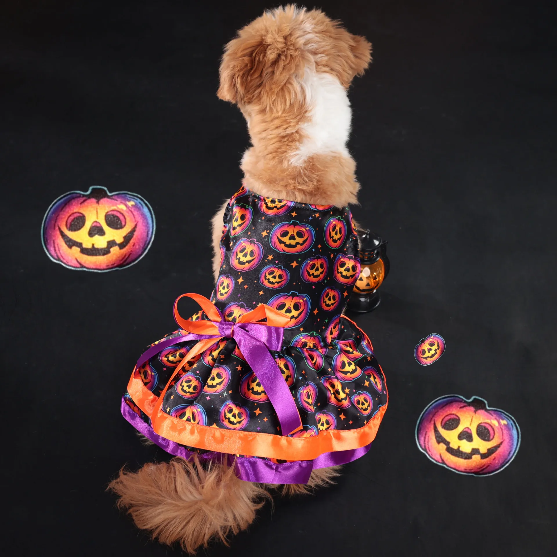 Robe Colorée Citrouille pour Chiens - 2025 - Doglovedesign : Vêtement et accessoires pour chiens