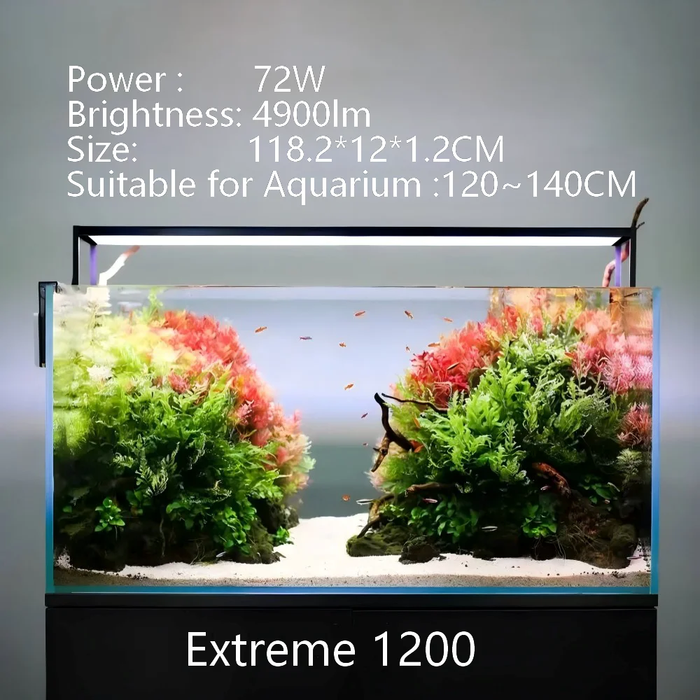 Extreme 1200