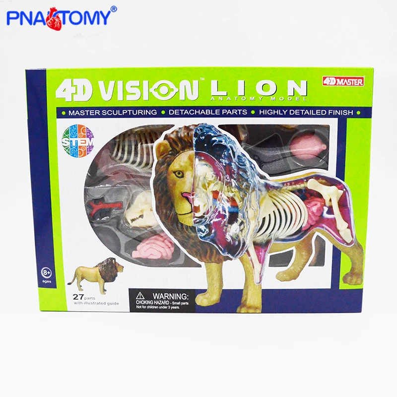 4D MASTER Lion Model 27Parts Animal Anatomical Toy Skeleton Educational Equipment DIY Gift Teaching