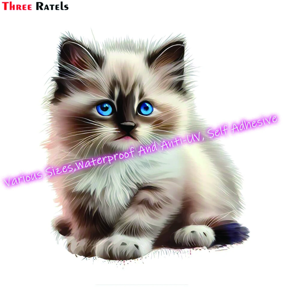 

Three Ratels M192 Ragdoll Kitten Digital Watercolor Personalized Anti-Scrape Film Stickers And Decals