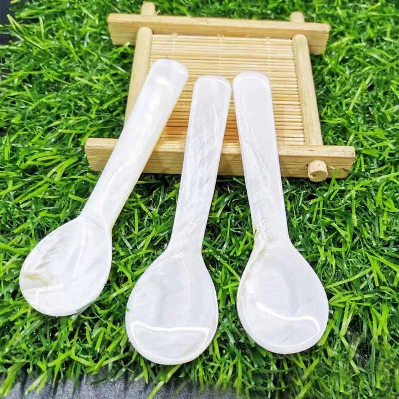 Natural Polished Yellow Pearl Shell And Spoon Creative Home Decoration Photography Props Crafts Caviar Tableware