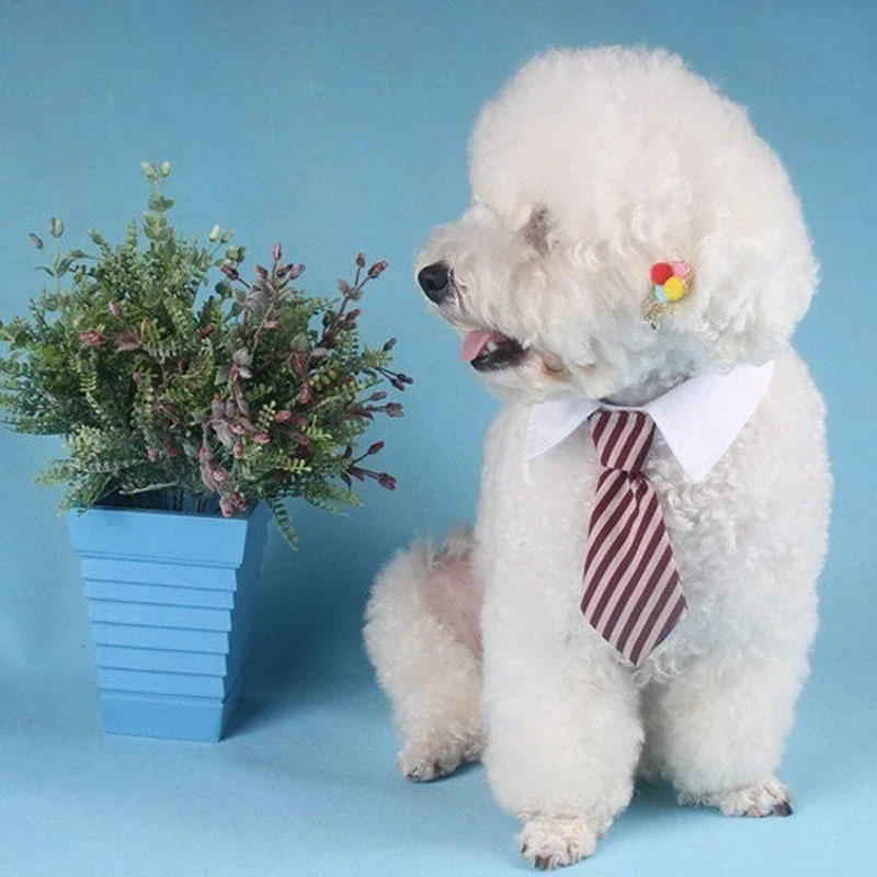 Cachorro e gato com gravata listrada, gravata ajustável para o pescoço do animal de estimação, colarinho branco para smoking, cor aleatória