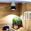 Reptile 110/220V UVB+UVA Light Energy-Saving Eye Protection Led Lamp Pro Turtle Lizard Mane Lion Ultraviolet Calcium Lamp Sun 3