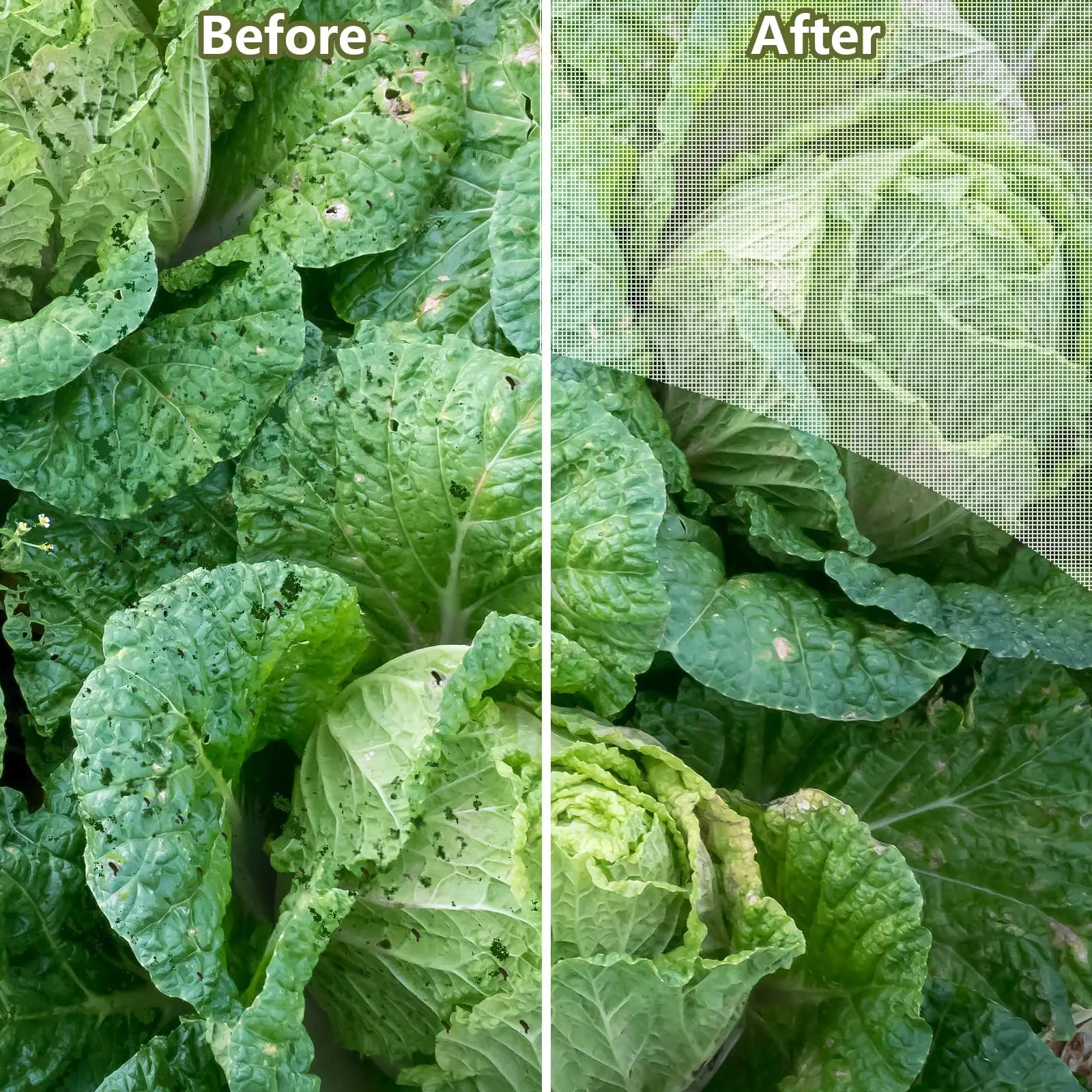 Garden Mesh Netting Kit Plant Cover with 6pcs Garden Hoops & 12 Clips for Vegetable Plants Fruits Flowers Greenhouse Birds Anima