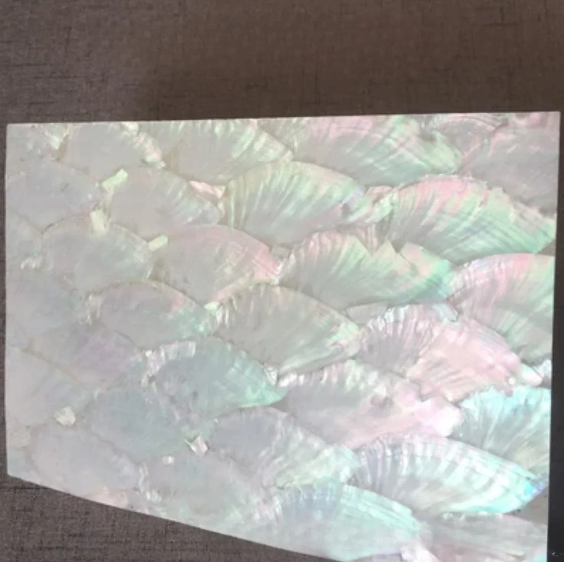 

Length:240mm W:140mm T:0.2mm Natural Material Fan Pattern Shell Veneer Furniture Mobile Phone Case Creative DIY Jewelry