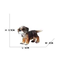 Bona Mountain Dog 4