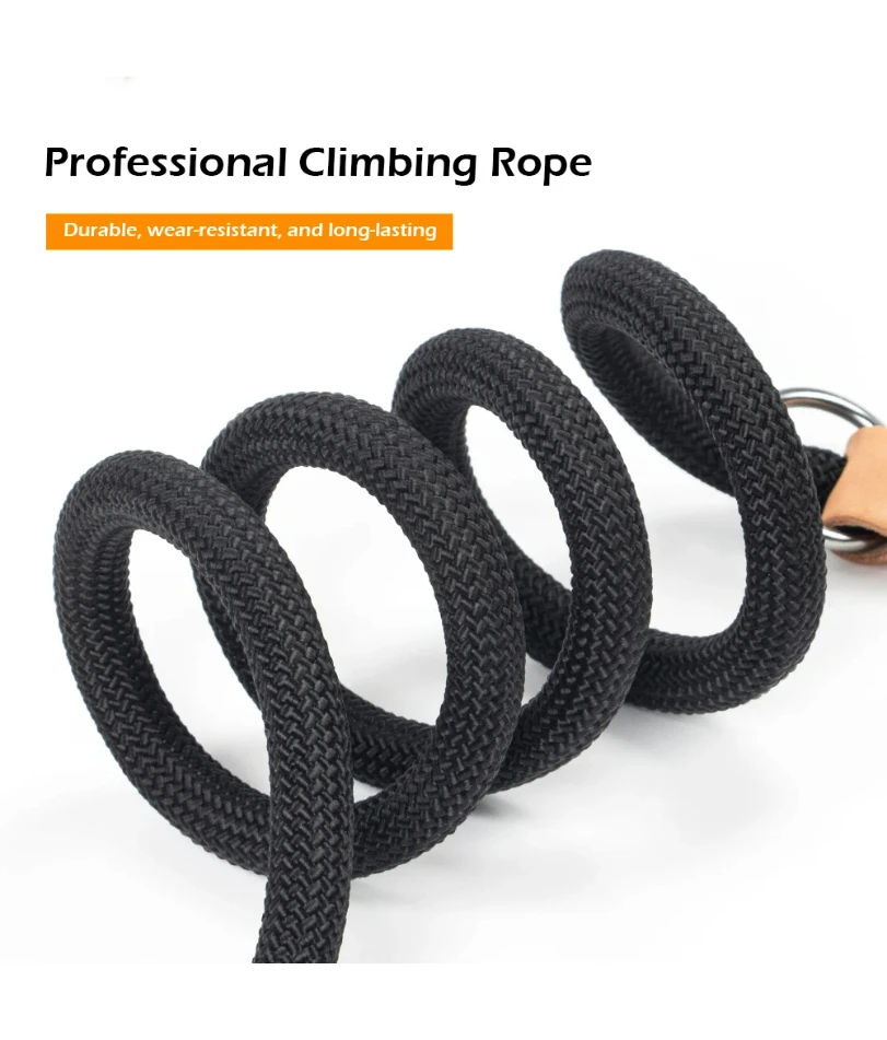Multifunctional Dog Leash 3