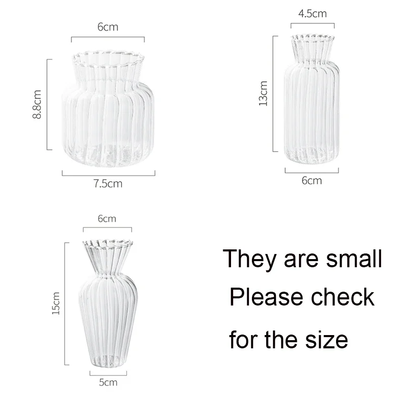 Glass Vase Potted Decoration Nordic Decorative Vase Hydroponic Terrarium Arrangement Container Flower Table Vase 6