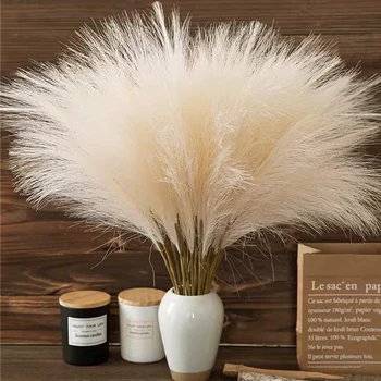 Pampas Grass Set 1