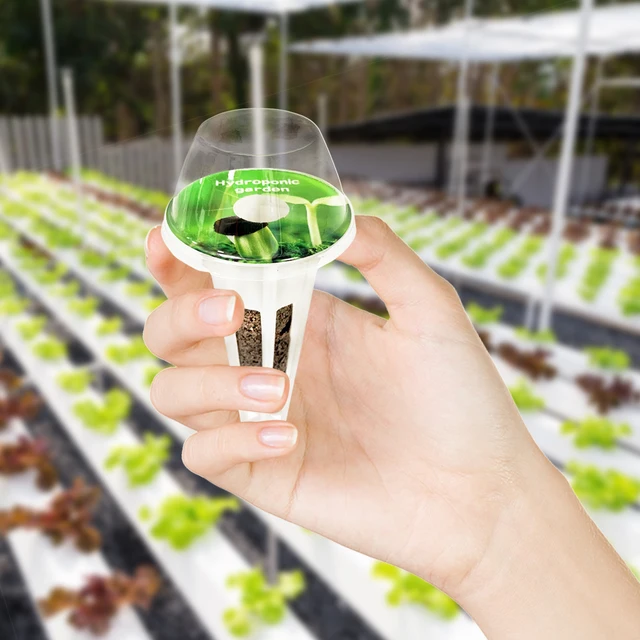 50Db Páratartalom Kupola Kerti Növényi Borító Mini Kupolák Átlátszó A Talajnövekedéshez - Image 6