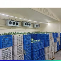 Construction de stockage au froid, salle de congélation, grand congélateur, prix pour aliments surgelés 4
