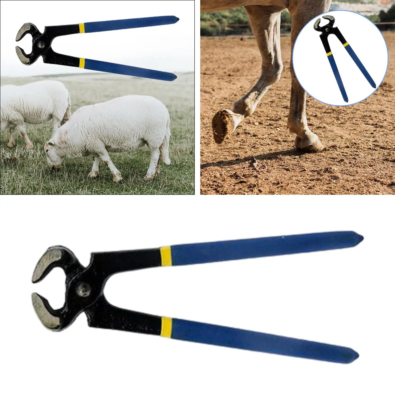 Horse Hoof Trimmer Professional Nail Clippers Hoof Repair Tools Durable Easy to