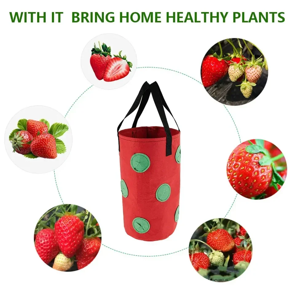 5 Sacchi Per Piante Da 20L In Tessuto Non Tessuto – Con Manici, Per Patate, Pomodori, Fragole – Nero - 6