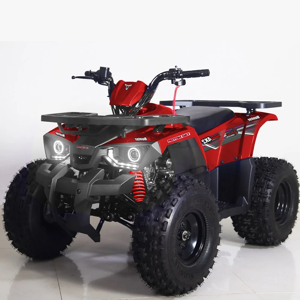 Tao Motor Drum Automatic 125CC Disc 110cc 125cc Quad Bike Atv for Kids 36V Electric Start Utv 4x4 1000cc Chain Drive Atv 125 2WD 200l barrel drum pump chemical electric motor pump oil transfer pump