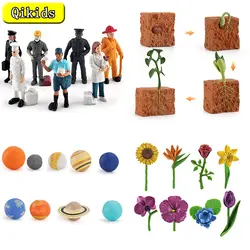 Simulation Cosmic Planet Model Animal Growth Cycle Flower Butterfly Frog Farm Life Cycle Action Figures Educational Kid Toy Gift