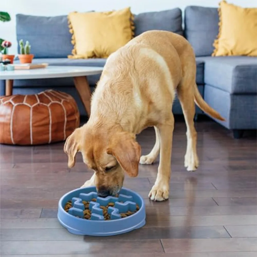 Non-Slip Slow Feeder Bowl 6