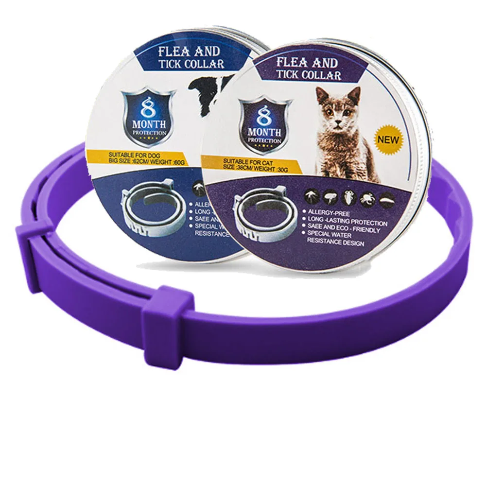 Purple box package