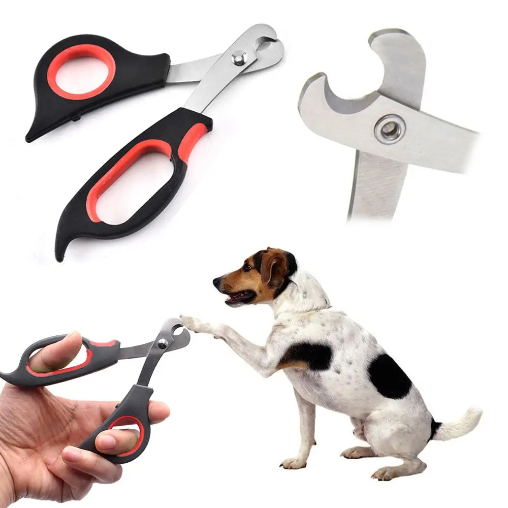 

Pet Guinea Pig Claw Toe Bird Dog Nail Clipper Trimmer Stainless Steel Nail Cutter