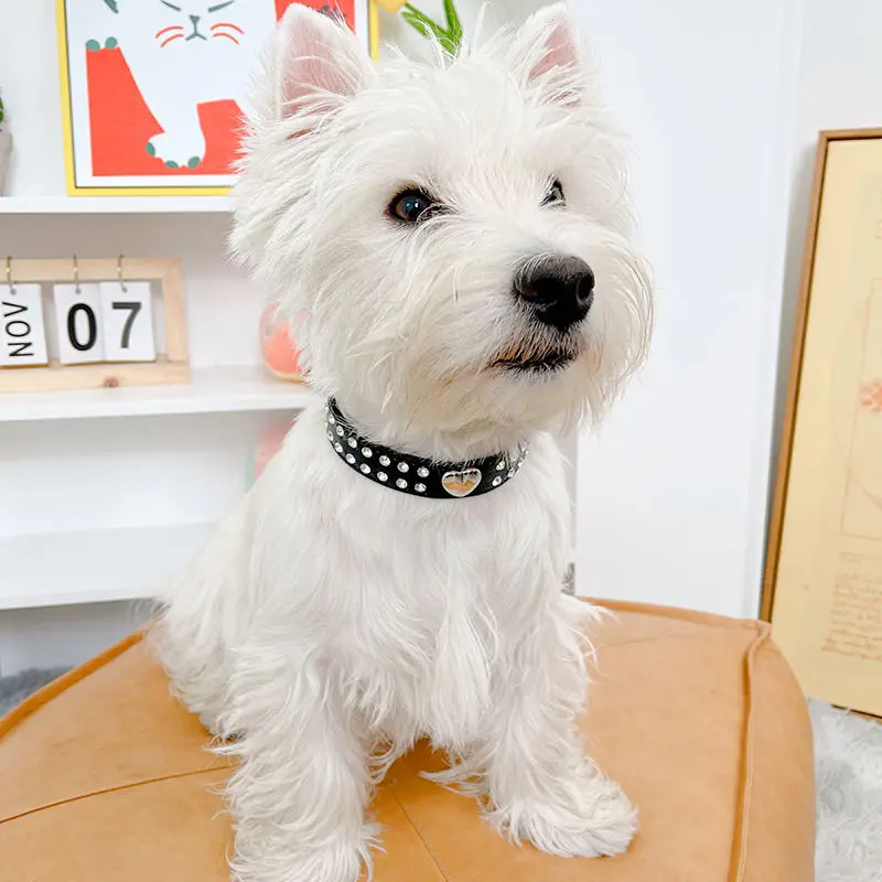 Collars Dog Bling Rhinestone Heart Necklace Adjustable Leather - PeticaDeals