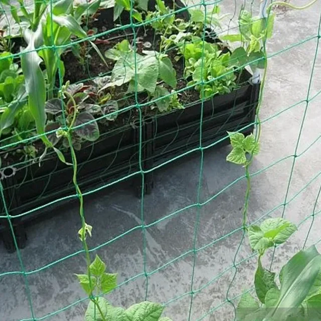 1pc Horticultural grid net Garden Anti wind and anti lodging Vines Cucumber Morning glory flower Grape Plant climbing net 2