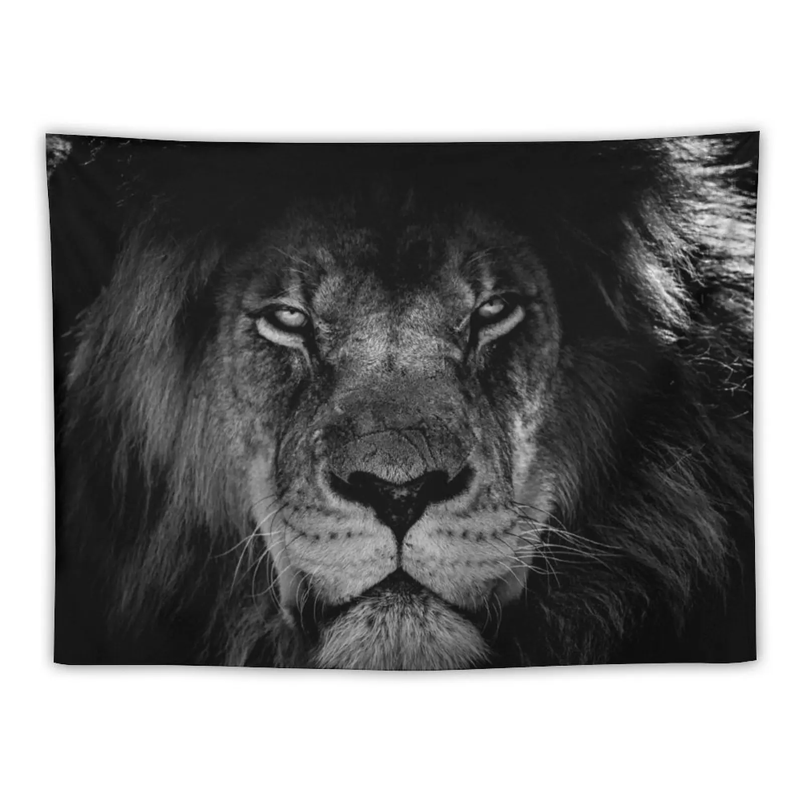 

Fierce Proud Lion Black and White Tapestry Room Aesthetic Room Decorator