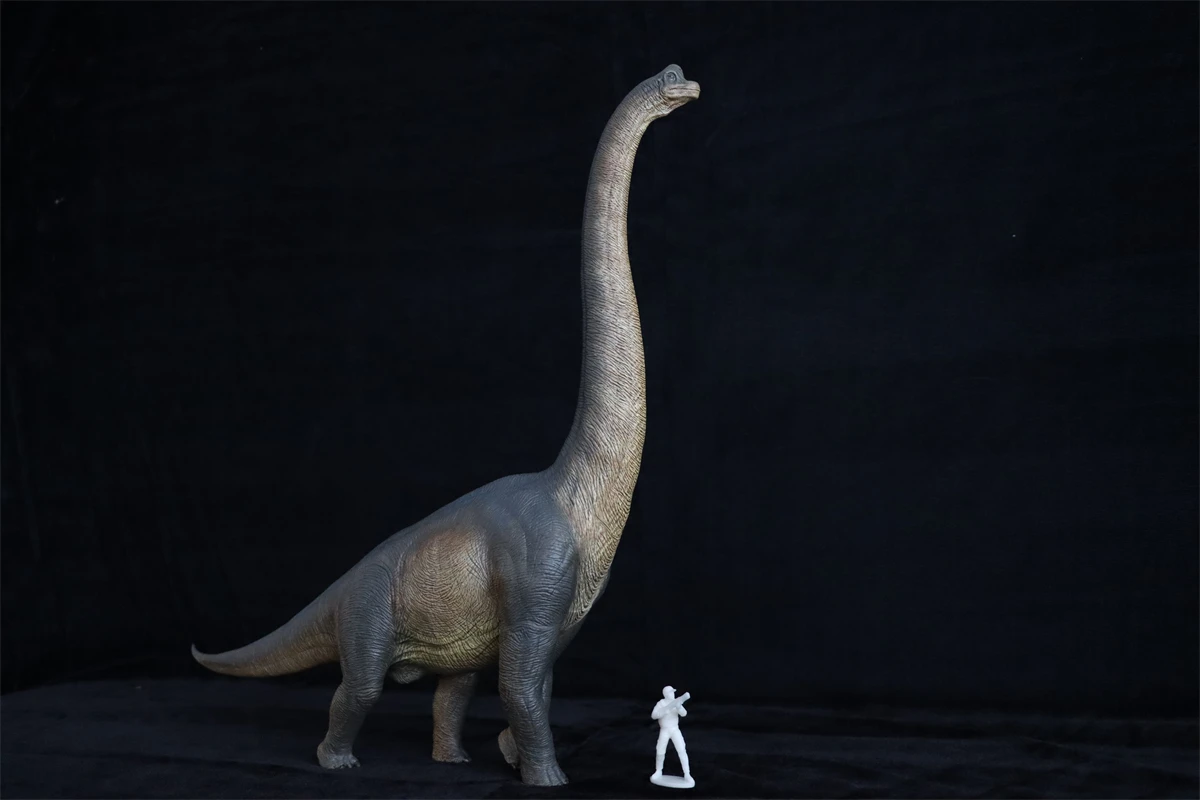 Nanmu Studio Walking Brachiosaurus Watchmen Full-length Portrait Dinosaur Model Sauropsida Animal Figure Decor Adult Kid Toy corpse bride costume