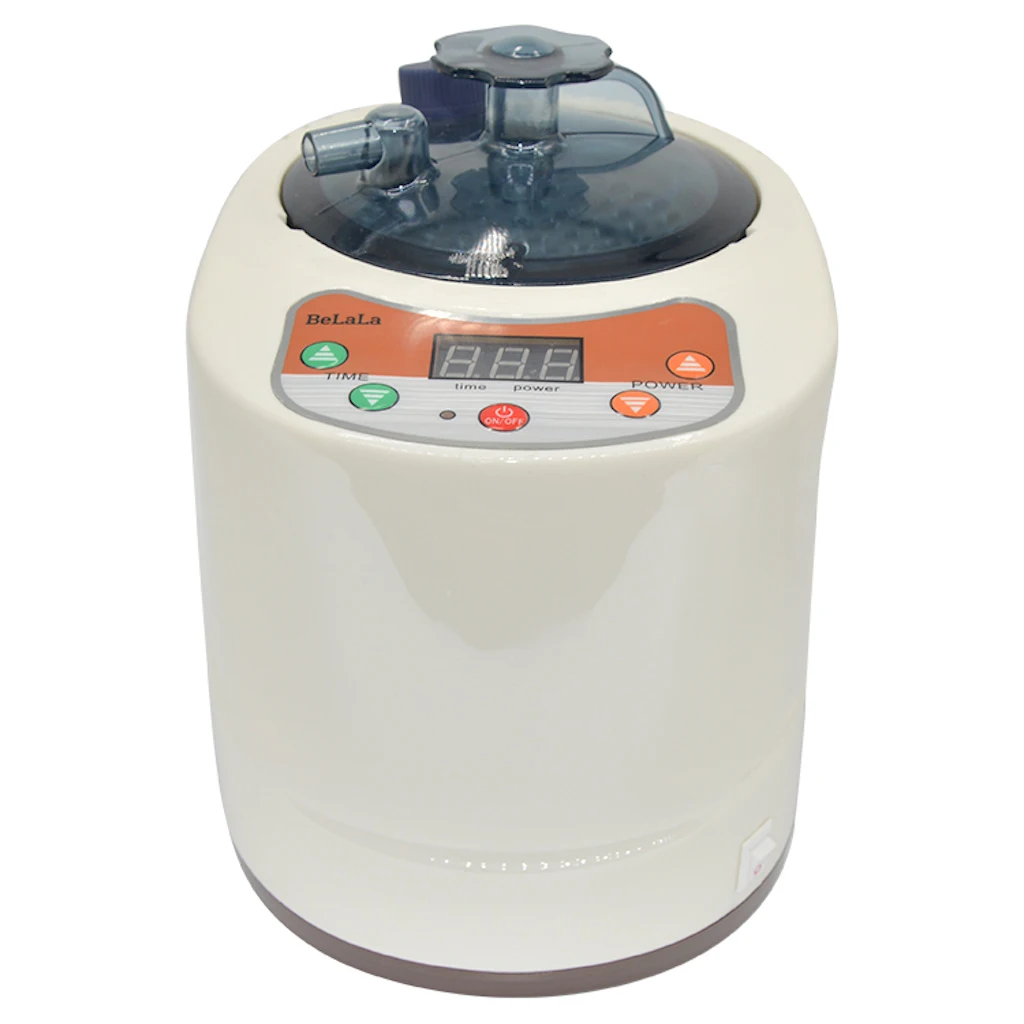 

2 Liter Portable Sauna Steamer Pot, Generator for Steam Saunas, Home Spa Machine for Body Detox