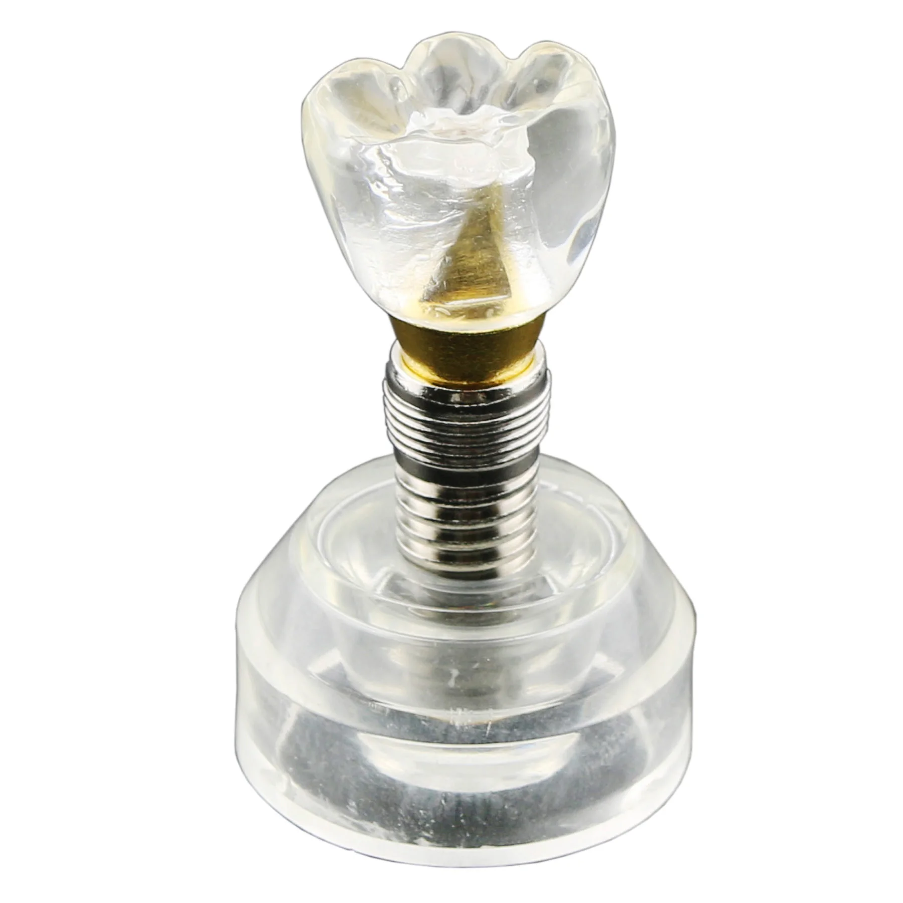 

2.5X Dental Implant Typodont Teeth Model Demo M2020 Structure Office Table Decoration Imitation Crystal Crown Teaching Study