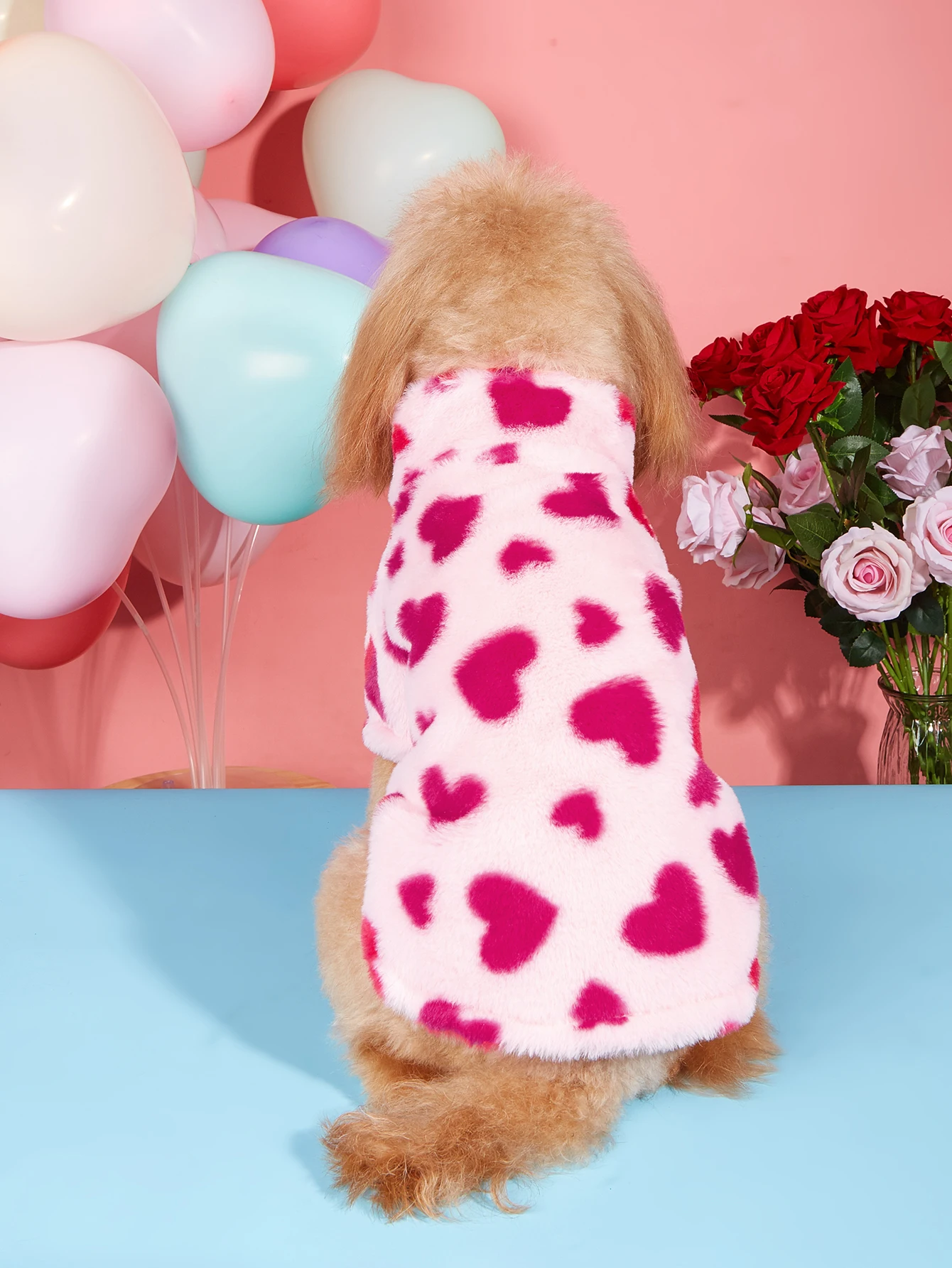 Valentine Plush Dog Hoodie 2
