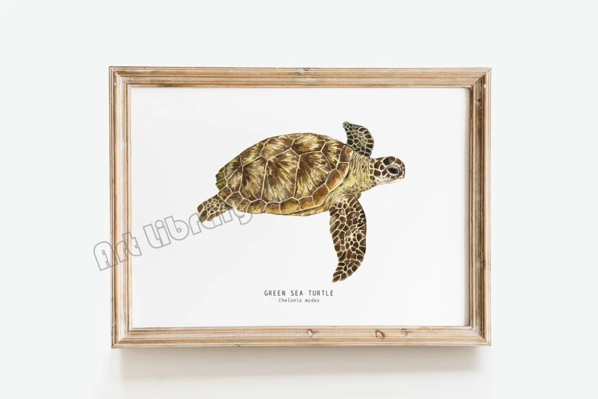 Marine Life Ocean Animals Canvas Art Poster - Whales, Sharks, and Turtles