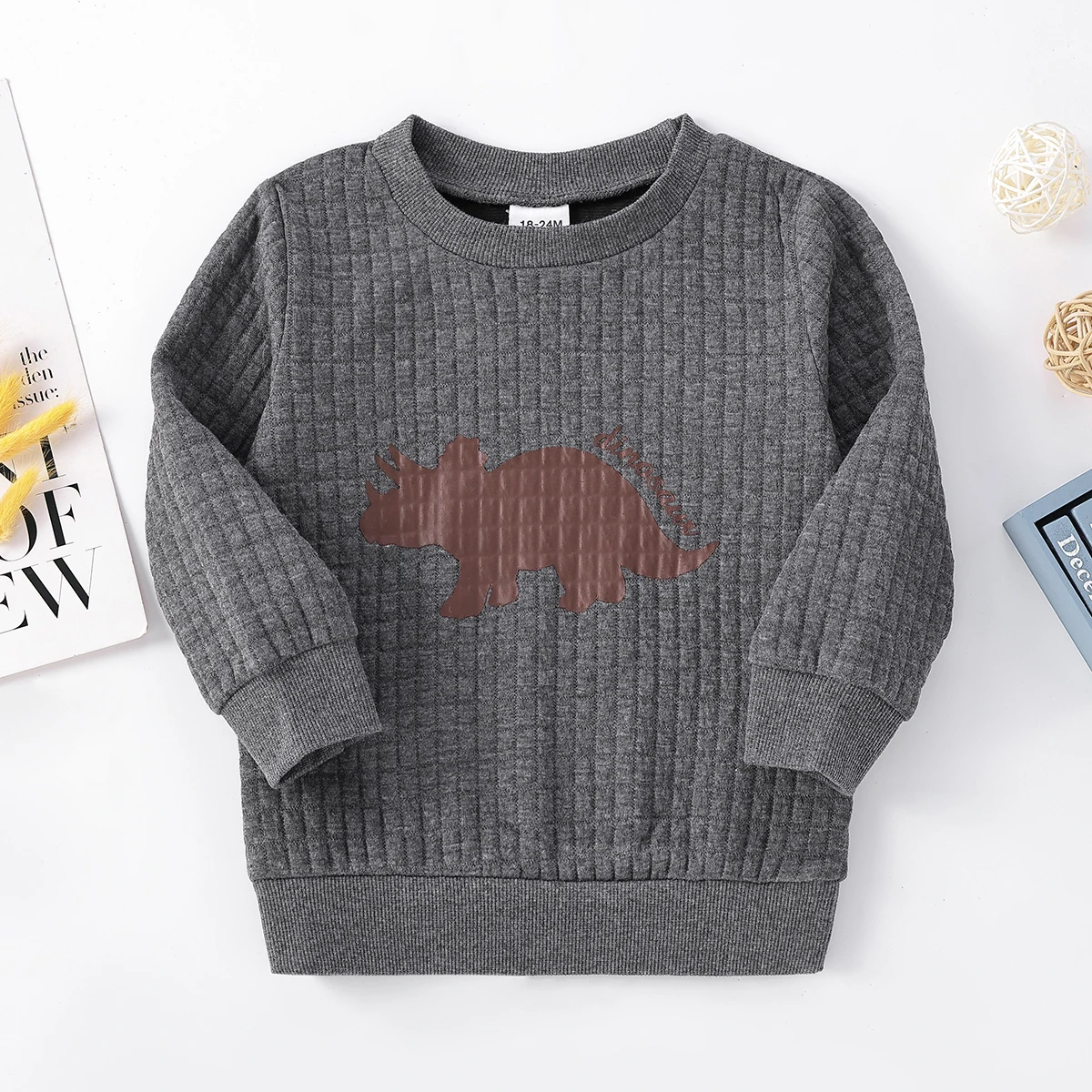 thumbnail image 1 of Sudadera con capucha texturizada con estampado de dinosaurio y letras para niño pequeño de PatPat, 1 of 5
