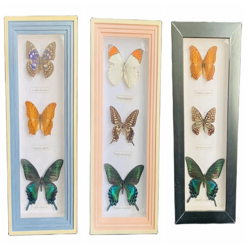 

Butterfly Decoration Birthday Gift Butterflies Photo Frame Specimen Craft Butterfly Home Decor Ornament Christmas Decorations