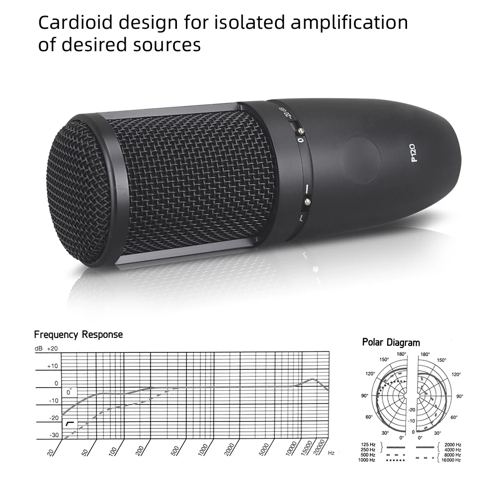 AKG-P120 콘덴서 캡슐 마이크, 고성능 범용 녹음 마이크, P120
