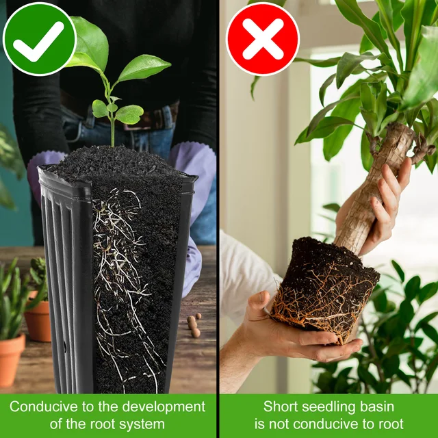 20Db Magas Fa Edény Műanyag Mély Óvoda Treepot 7,8 Hüvelyk Palánták Virágnövény -Tartály, Visszacsatolható Lyukakkal Újrafelhasználható - Image 4