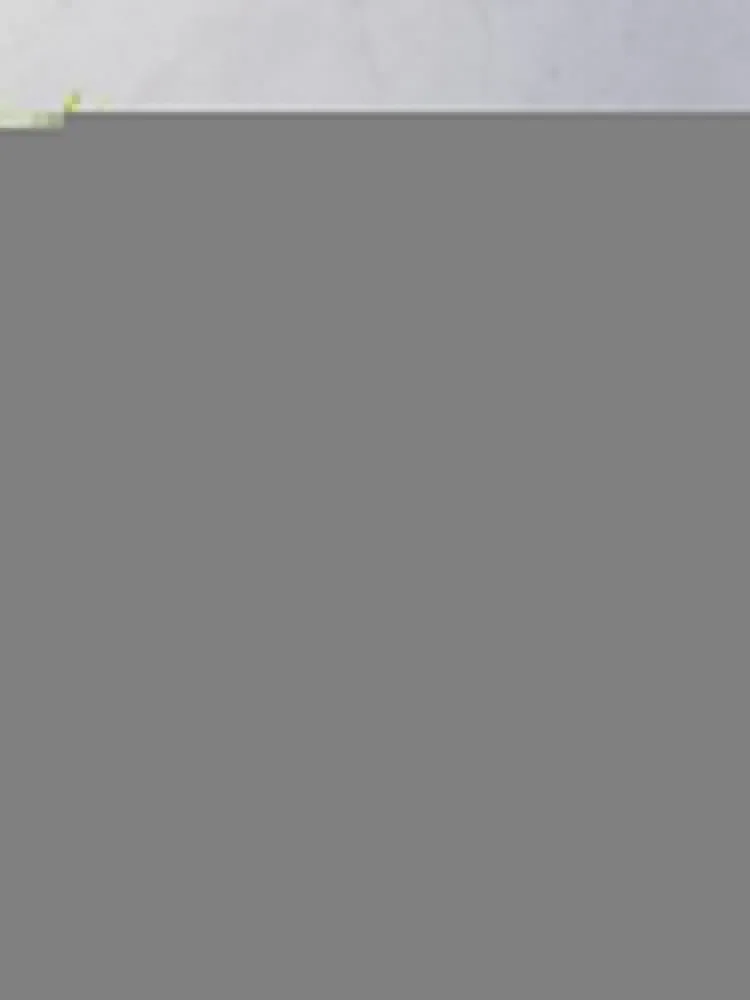 ���� Ÿ�� õ ���� ������ ���, �ִϸ��̼� ���� ���� �ö���,  ���