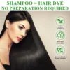 Shampoo 3 in 1 Organic Natural Hair Dye Ginseng Extract Black Hair Color Шампунь Для Волос for Cover Gray White Hair 500ML 6