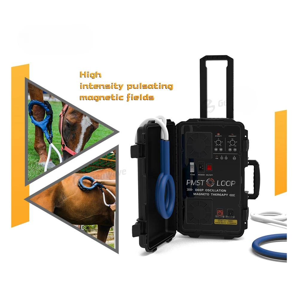 Ce Magnetic Therapie Horse Pemf Loop Pemf Equine Animals Therapy Machine
