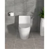 Modern Oval Integrated Toilet in Bathroom with Soft Close Seat, High Efficiency 1.1/1.6GPF Dual Flush, 12" Rough 1