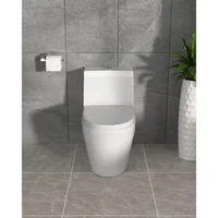 Modern Oval Integrated Toilet in Bathroom with Soft Close Seat, High Efficiency 1.1/1.6GPF Dual Flush, 12" Rough 1