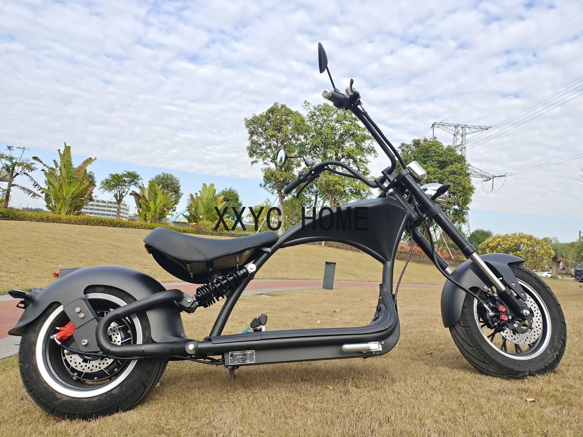 

Chopper Scooter 3000W 30AH Most Popular Citycoco Electric Motorcycle Adults Big Wheel