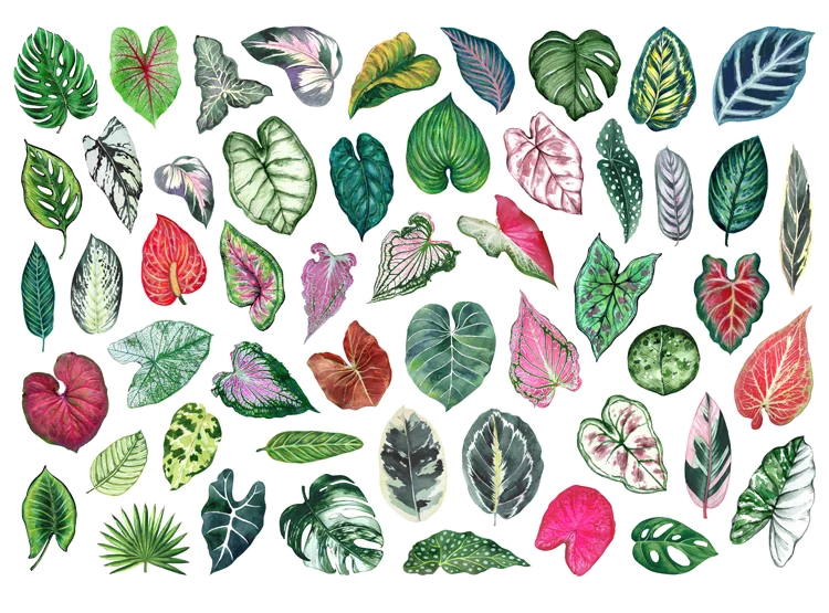 50pcs Cute Plant Leaf Handbook Sticker Material Small Fresh Handbook Stickers Children's Photo Album Growth Record Decoration