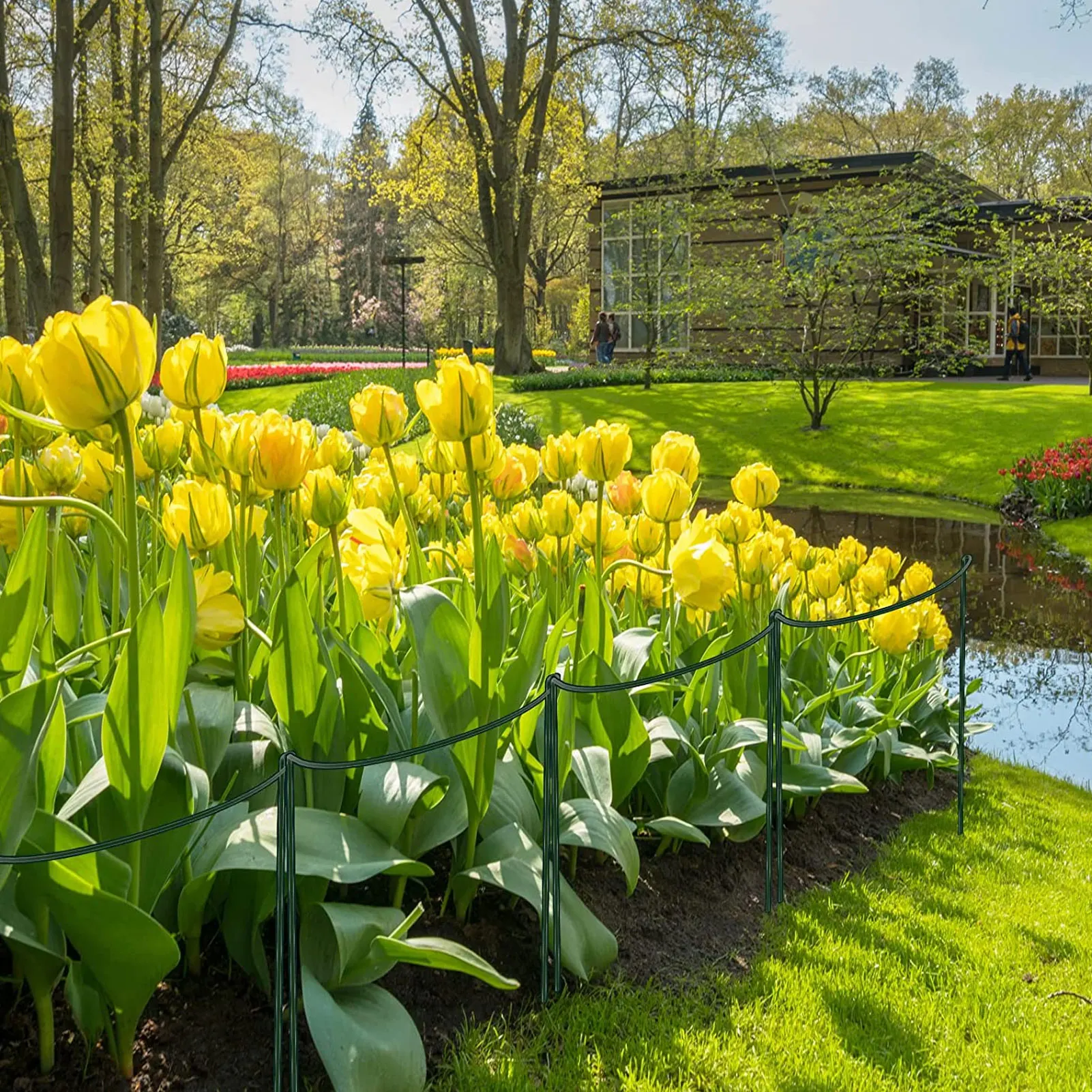 금속 정원 DIY 식물 지지대 프레임 말뚝 고리, 작약 초본 식물 꽃 스탠드, 인공 등반 트렐리스 정원 장식