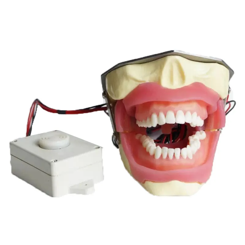 

de ntal anesthe sia Extraction Model with Buzzer for Students Practice for Educational Teaching Aids