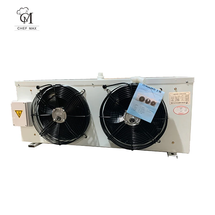 Commercial Customize 5 Ton Walk In Cold Storage Room 20ft 40ft Refrigerated Cold Storage Room Big Cold Storage Container Units - Image 4