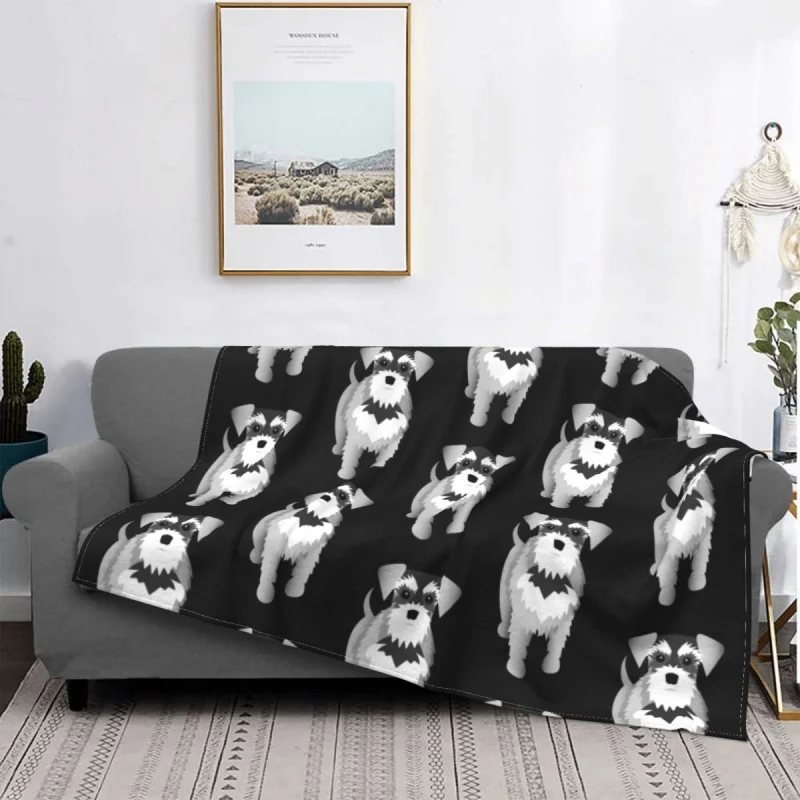 Snauzer-�ڶ� Fce ���� ��� ����Ʈ ���, ħ�� ���� ķ�� �繫�ǿ� �β��� ���