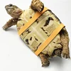 Pet Turtle Traction Rope Safety Belt Outdoor Traction Belt Multifunctional Training Rope Portable Small Pet Supplies 4