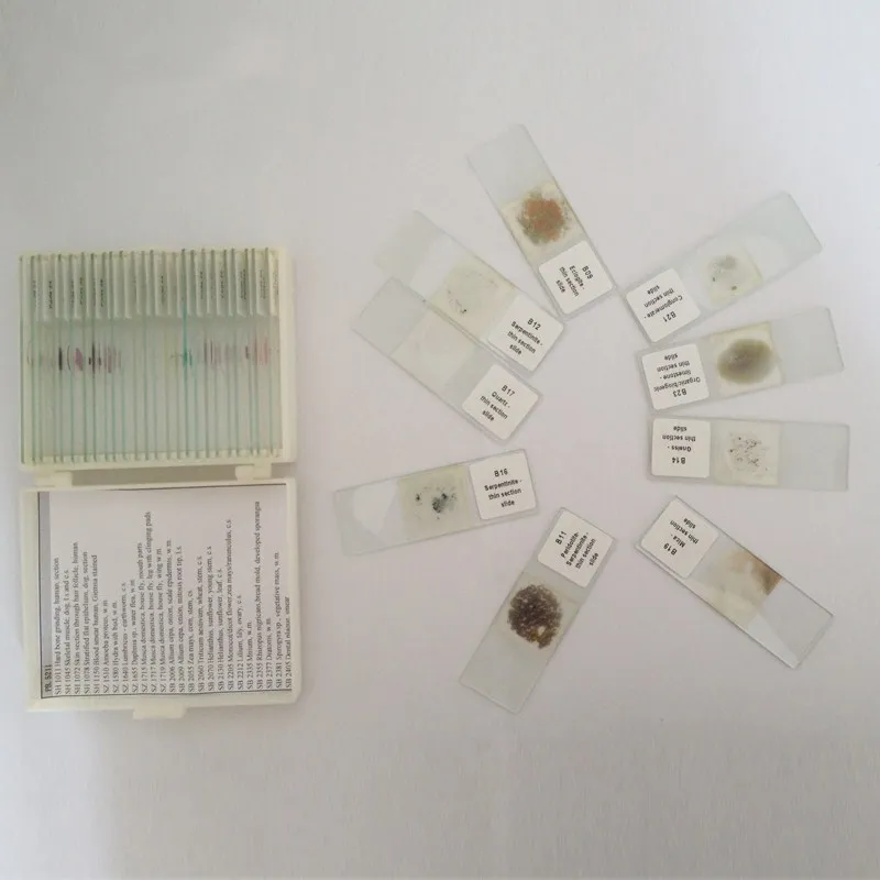 

microscope prepared slides Geology geography 100 Kinds mineral stone grinding thin prepared slides