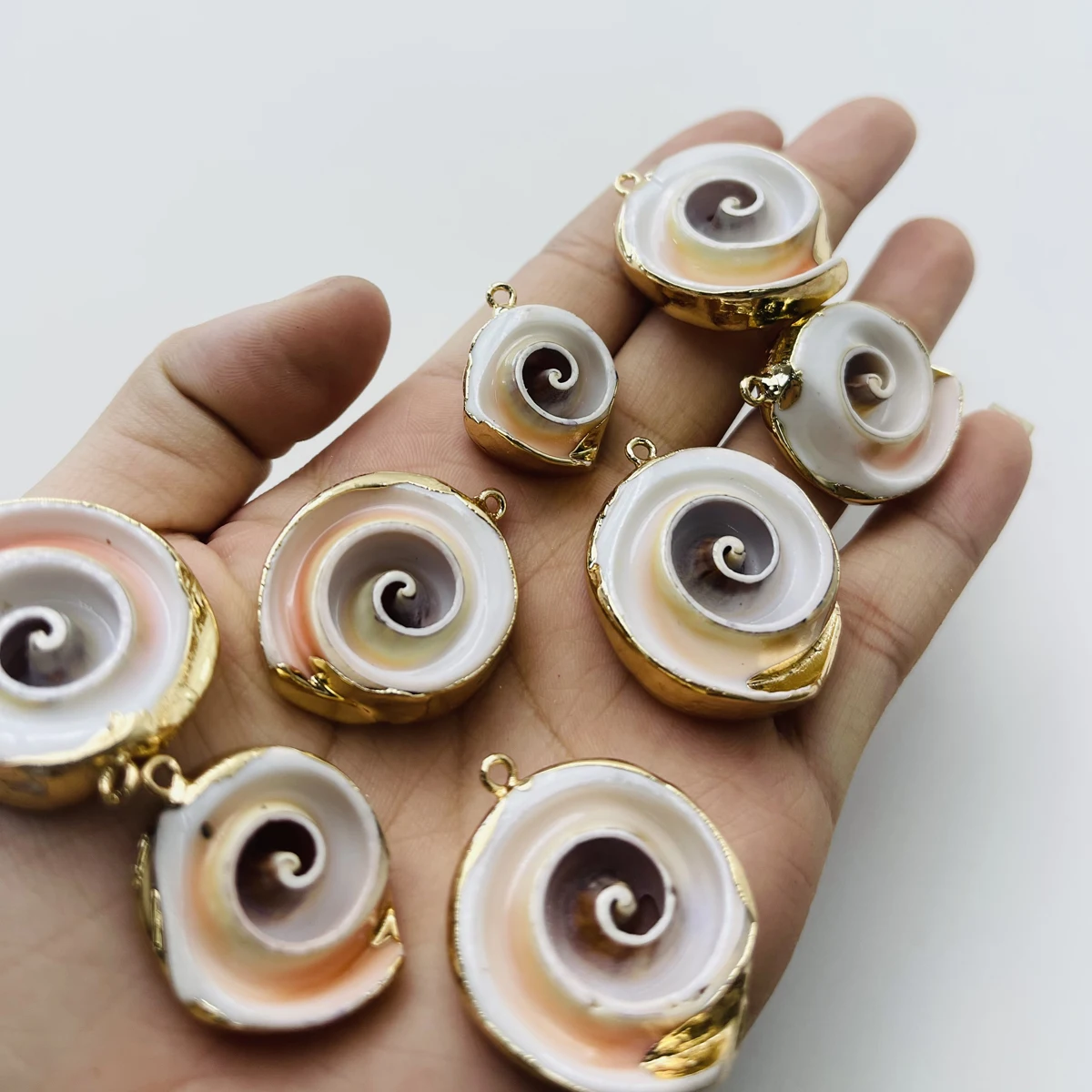 10 teile/paket Natürliche Conch Anhänger Gold Farbe Überzogene Rand Charms für Schmuck Machen DIY Halskette Ohrringe Zubehör Großhandel
