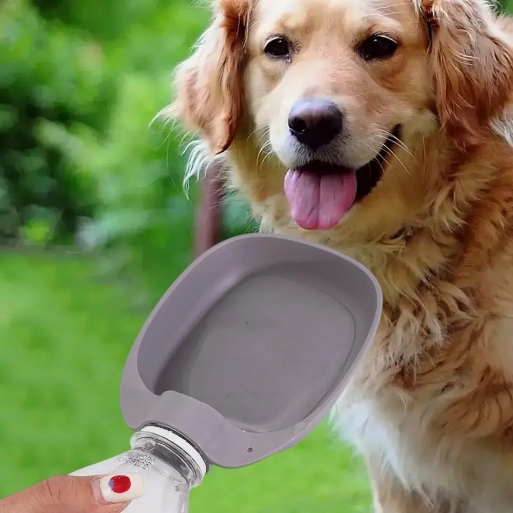 Plastic Leakproof Pet Drinking Bowl for Cat Dog Outdoor Use