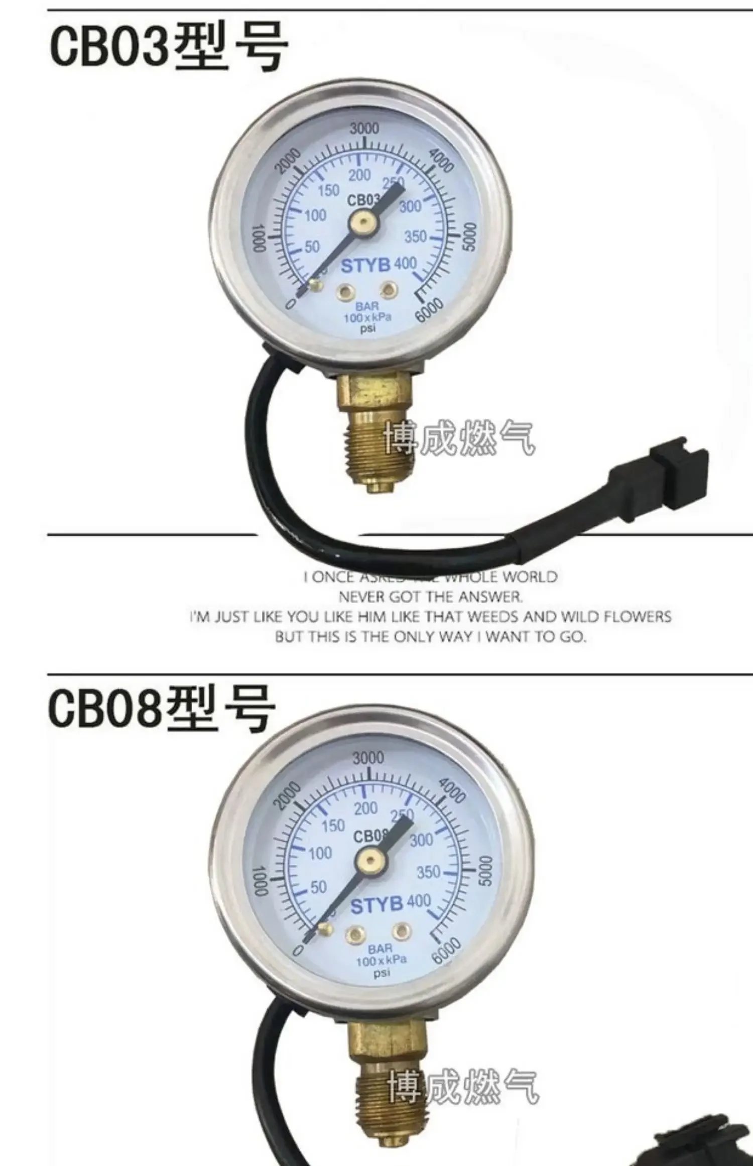스테인리스 스틸 압력계 자동차 천연가스 CNG 가스